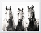 Poster Master Vintage Photograph Poster by PosterMaster