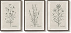 Framed Farmhouse Botanical Canvas Wall Art Set of 3, Large Vintage Neutral - Image 4