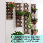ShopLaLa Wall Planter - Image 9