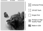 Poster Master Butterfly on Cat Print - Image 2