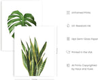 HAUS AND HUES Plant Photo Set of 4-11x14 - Image 2
