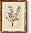 InSimSea Gold Bamboo Framed Canvas Wall Art, Retro Herbs Rosemary Botanical by InSimSeaArt