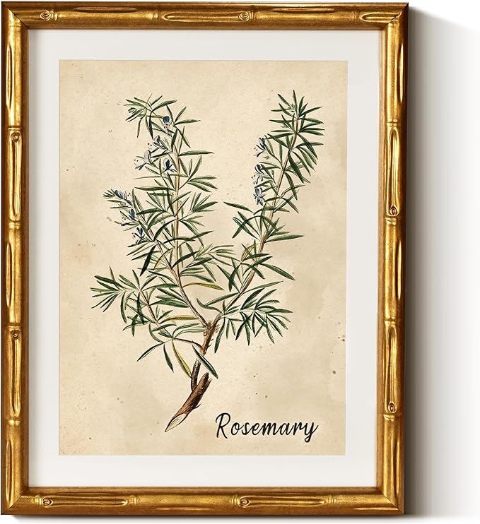 InSimSea Gold Bamboo Framed Canvas Wall Art, Retro Herbs Rosemary Botanical by InSimSeaArt