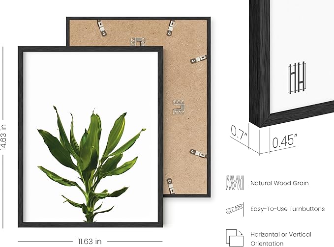 HAUS AND HUES Plant Wall Art - Image 3