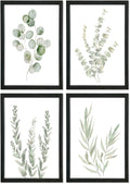 YWJKWLGS Botanical Watercolor Prints Sign Sage Green Eucalyptus Wall Decor by Unknown