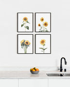 HAUS AND HUES Sunflower Set Collage 16x20 - Image 5