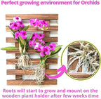 ShopLaLa Wall Planter – Wooden Air Plant Succulent Holder Hanger Indoor Outdoor - Image 5
