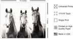 Poster Master Horse Poster - Image 2