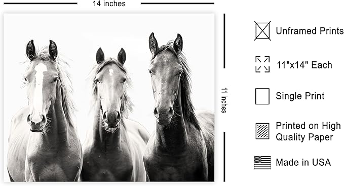Poster Master Horse Poster - Image 2