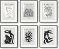 Framed Matisse Wall Art for Living Room, Abstract Aesthetic Pictures for Bedroom by Cuspin