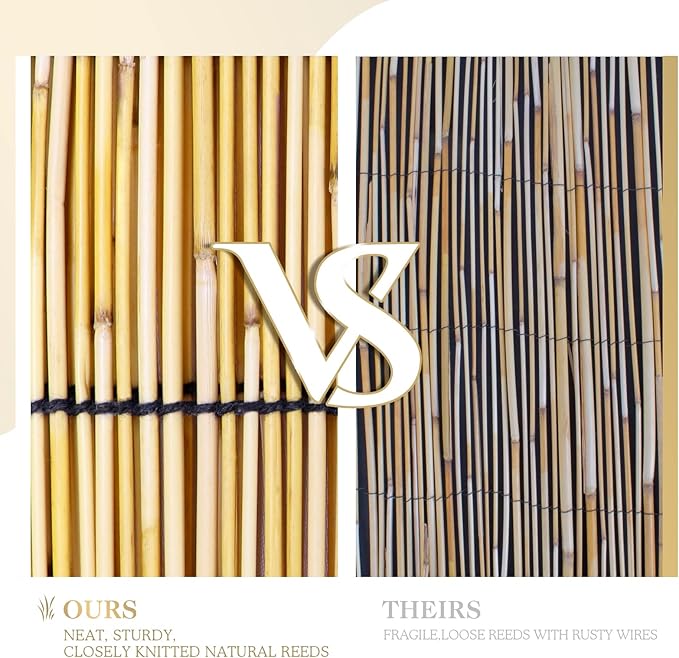 Reed Curtain, Bamboo Light Filtering Roller Shades - Image 3