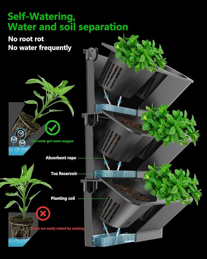 Wall Planters for Indoor Plants - Image 4
