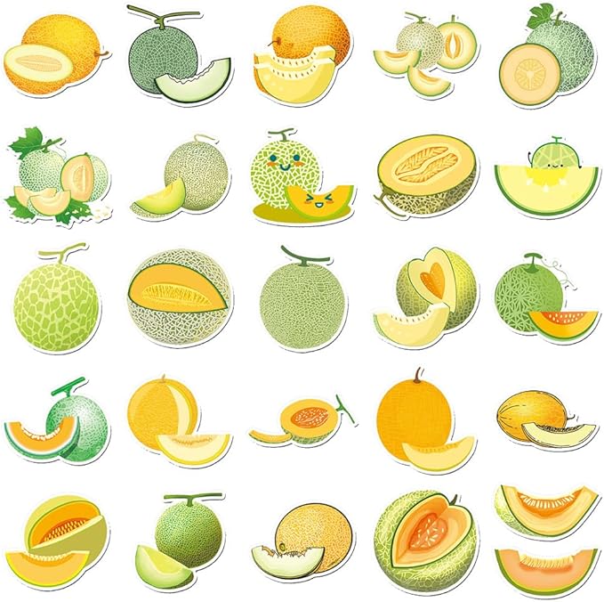 Hami Melon Stickers for Teens Boys Girls Kids|50 Pcs|Trendy Vinly Waterproof Stickers for Laptop Tablet Flasks Scrapbook Bottles Phone Computer Luggage Notebook,Fruts Decal Pack(Hami Melon-50Pcs)