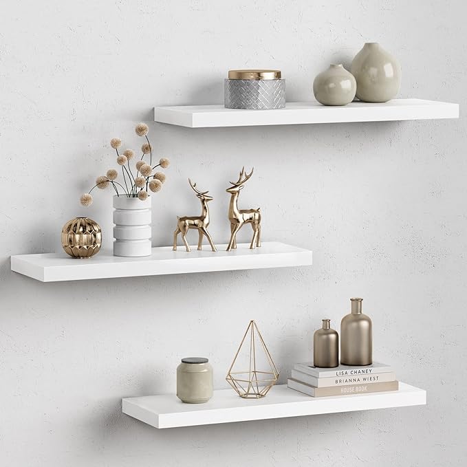 Forbena 24 Inch Floating Shelves by Forbena