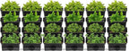 TFCFL 24 Pack Hanging Vertical Wall Planter, 12.99inch Wall Mounted Planter - Image 4