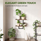 Bamworld Wall Planters for Indoor Plants Window Plant Shelves Vertical Plant - Image 6