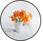 Oruii Black Circle Mirror, 18 inch Round Mirror Metal Frame, Living Room by OruiiMirror
