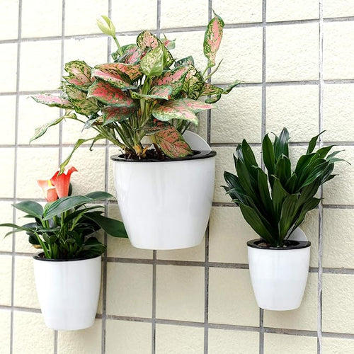 3 Pack Self Watering Wall Hanging Planter Pots Vertical Garden Window Hang - Image 2