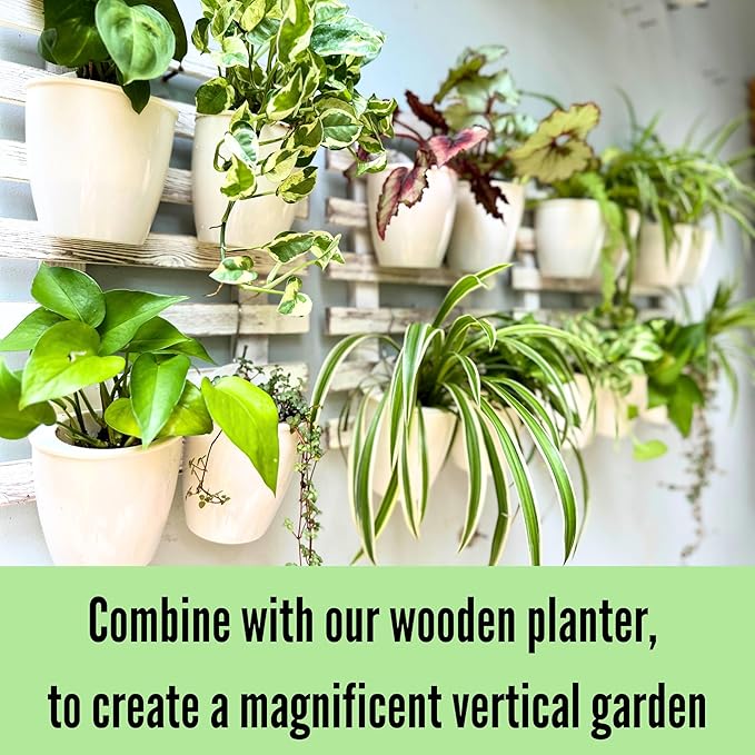 LaLaGreen Wall Mounted Planters - Image 6