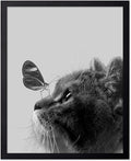 Poster Master Butterfly on Cat Print by PosterMaster