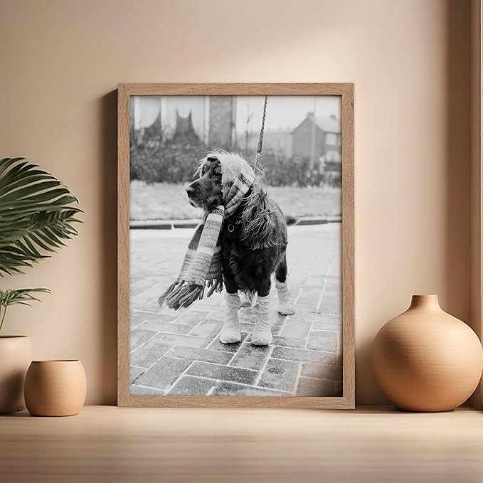 Poster Master Vintage Dog Dressed - Image 5