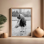 Poster Master Vintage Dog Dressed - Image 5