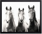 Poster Master Vintage Photograph Poster by PosterMaster
