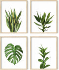 Plant Photo Set of 4-8x10 Framed Beige by HausandHuesArtPrints