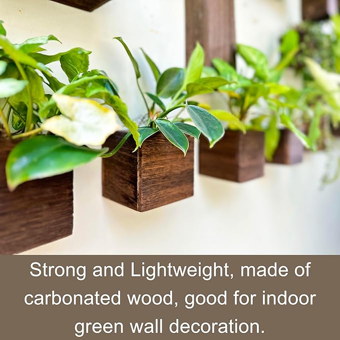 LaLaGreen Wood Planter Boxes for Indoor Plants Small Square Wall Mounted - Image 7