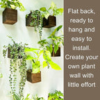 LaLaGreen Wood Planter Boxes Small Square Wooden Wall Mounted Flower Pot - Image 5