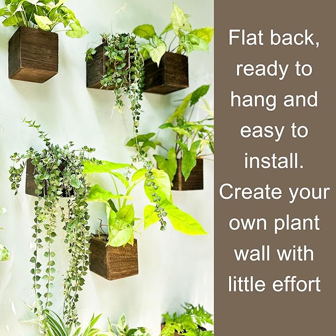 LaLaGreen Wood Planter Box for Plants Small Square Wall Planters for Indoor - Image 5
