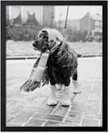 Poster Master Dog Dressed for Winter Print by PosterMaster