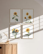 HAUS AND HUES Sunflower Set Collage 16x20 - Image 4