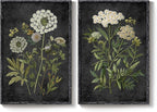 Large Framed Vintage Botanical Wall Art - Image 9