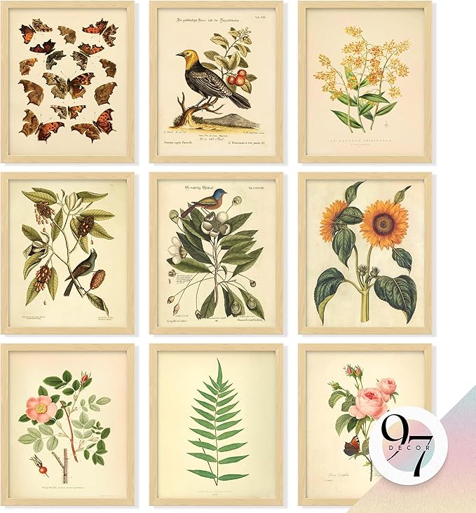 97 Decor Vintage Botanical Wall Art Decor by 97Decor