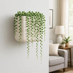 Phoenix Vine 6.5 Inch Wall Mounted Self-Watering Planter Pot - Image 7