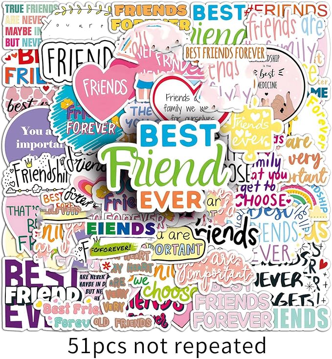 Friendship Stickers 51 Pcs Vinyl Funny Best Friend Sticker for Laptop Water Bottle Motorcycle Bumper Luggage Car Bike Skateboard Computer,Waterproof Cute Aesthetic Sticker for Teens Adults Girls