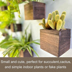 LaLaGreen Indoor Planter Box for Plants Small Square Wooden Wall Mounted - Image 4