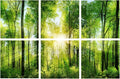 YPY Sound Proofing Panels for Walls Morning sunrise forest green trees: 6 Pack by YPY