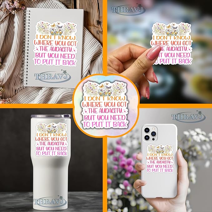 (3Pcs) I Don't Know Where You Got The Audacity But You Need to Put It Back Funny Quotes Vinyl Stickers Durable for Laptops Water Bottles Phones Tumblers Notebooks Cars Mugs Size 3 x 3 Inch