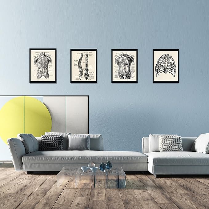 Ohhvvow Human Anatomy Artwork Medical Wall Art Canvas, 12 * 18 Inch Muscle - Image 8