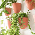 Make Good PlantPod Luxe - Image 6