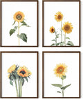 HAUS AND HUES Sunflower Set Collage 16x20 by HausandHuesArtPrints