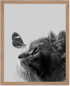 Poster Master Butterfly on Cat Print by PosterMaster