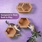Modern Hexagonal Cat Wall Shelf System, 6-Piece Wood Wall Mounted Cat Furniture - Image 5