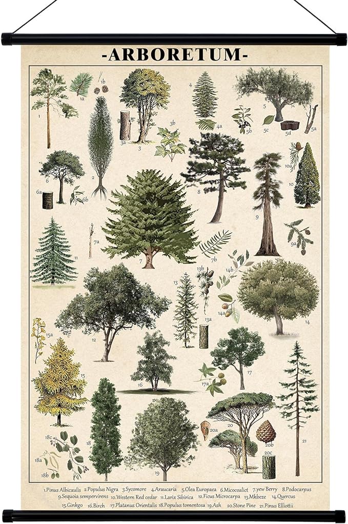 Geyee Tree Vintage Poster Wall decor Mallard Ducks Hunting Art Knowledge by Geyee