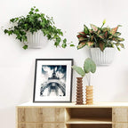 6 Pcs Plastic Large Wall Plant Pots Vertical Garden Living Wall Mounted Window - Image 7