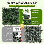 KASZOO Artificial Grass Wall Panel - Image 4