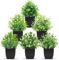 Der Rose 6 Pack Fake Plants Mini Artificial Plants by DerRose