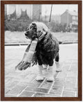 Poster Master Vintage Dog Dressed by PosterMaster